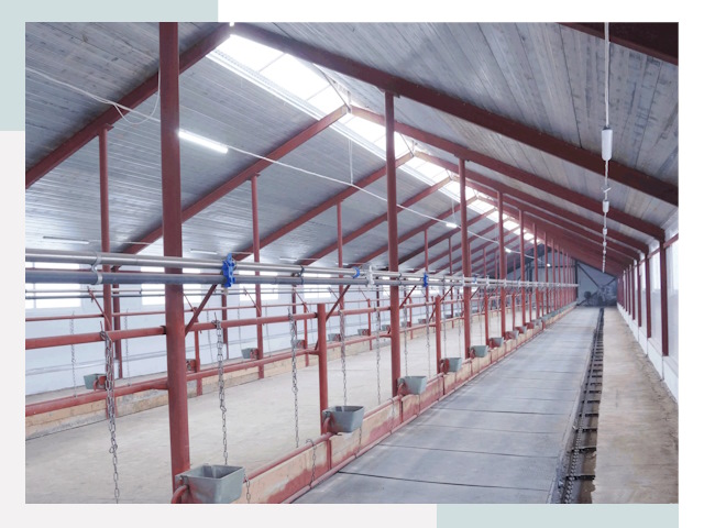 Строительство коровников в Троицке от 619 руб.