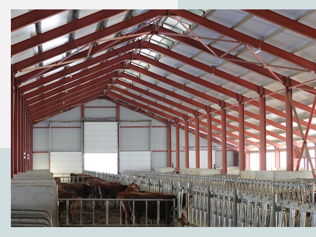 Строительство коровников в Троицке