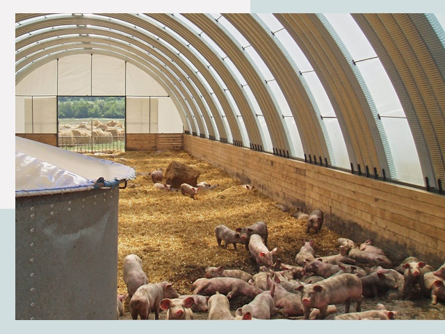 Строительство свинарников в Троицке