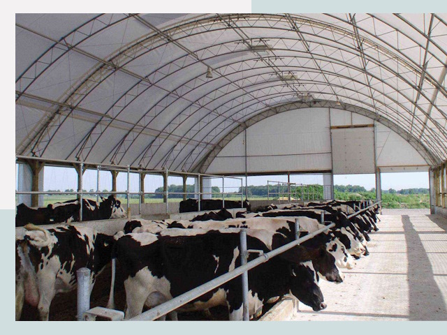 Тентовые коровники в Троицке